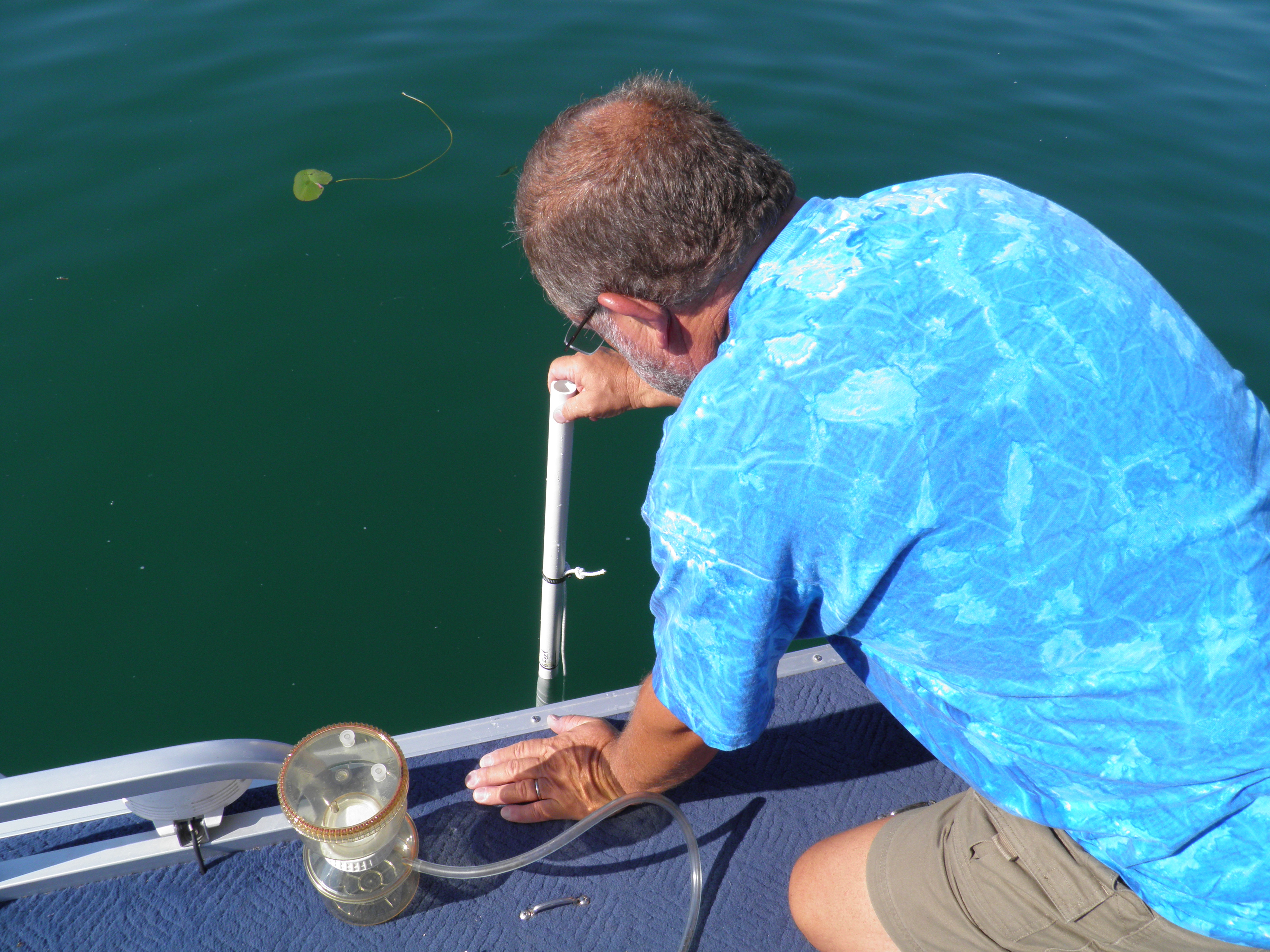 A secchi disk hangs above green water